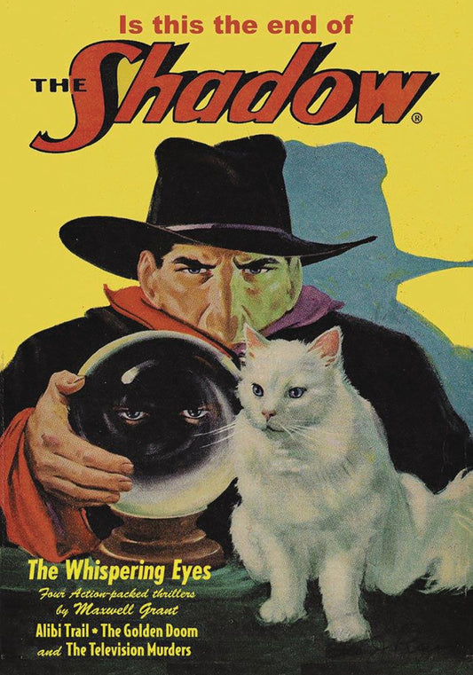 Shadow Novel Sc Vol 151 (Of 151) Final Issue Spectacular